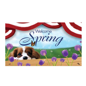 Spring Charles Spaniel Doormat