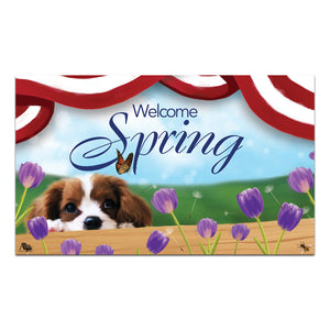 Spring Charles Spaniel Doormat