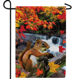 Squirrel At Waterfall Double Sided Garden Flag