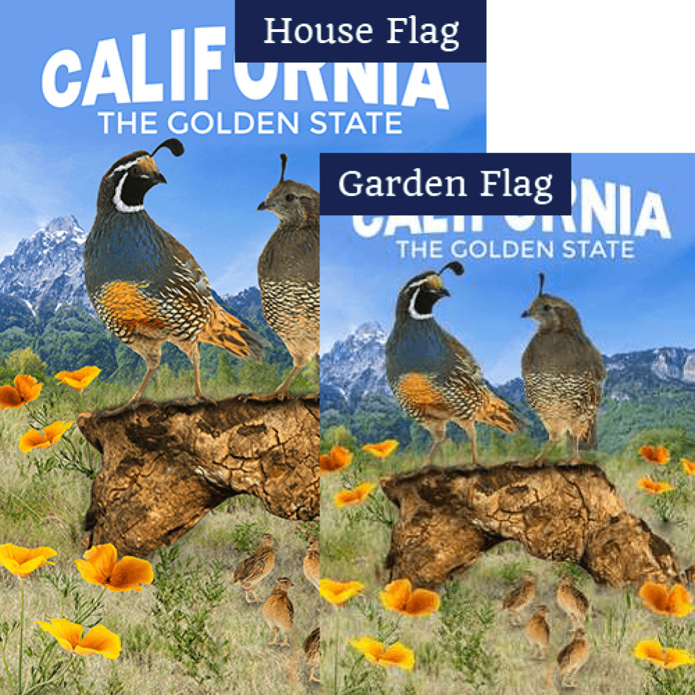 California Quail Family Double Sided Flags Set (2 Pieces)