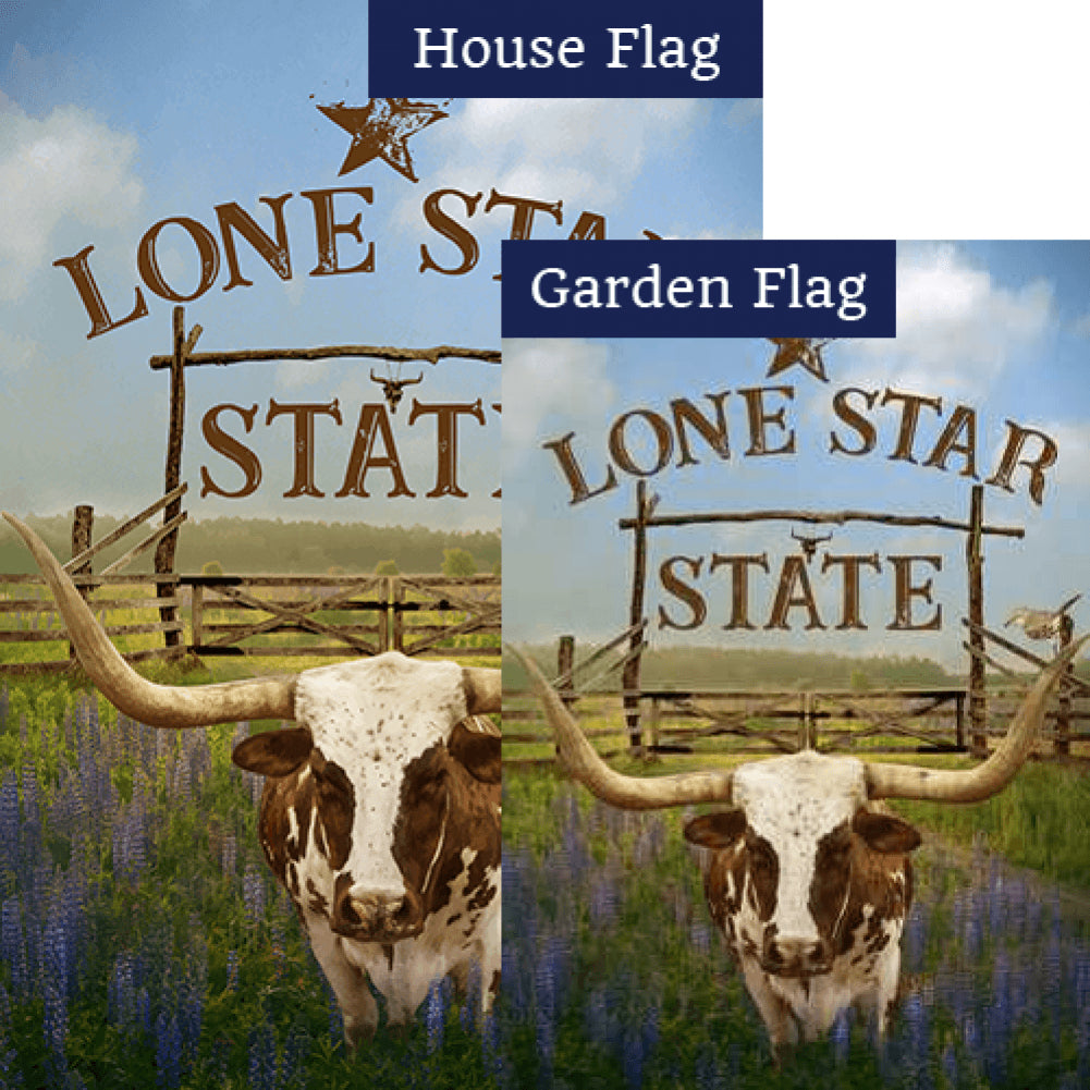 Texas Longhorn Double Sided Flags Set (2 Pieces)