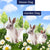 Spring Bunnies Double Sided Flags Set (2 Pieces)