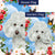 Pretty Poodle Closeup Double Sided Flags Set (2 Pieces)