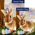 Hiding Easter Eggs Double Sided Flags Set (2 Pieces)
