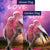 Pink Lovebirds Flags Set (2 Pieces)