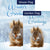 Winter Squirrel Double Sided Flags Set (2 Pieces)