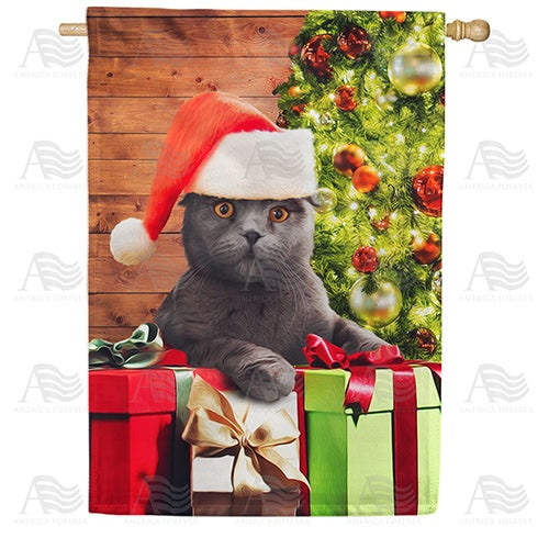 Chester, The Cat Has Gifts! Double Sided House Flag