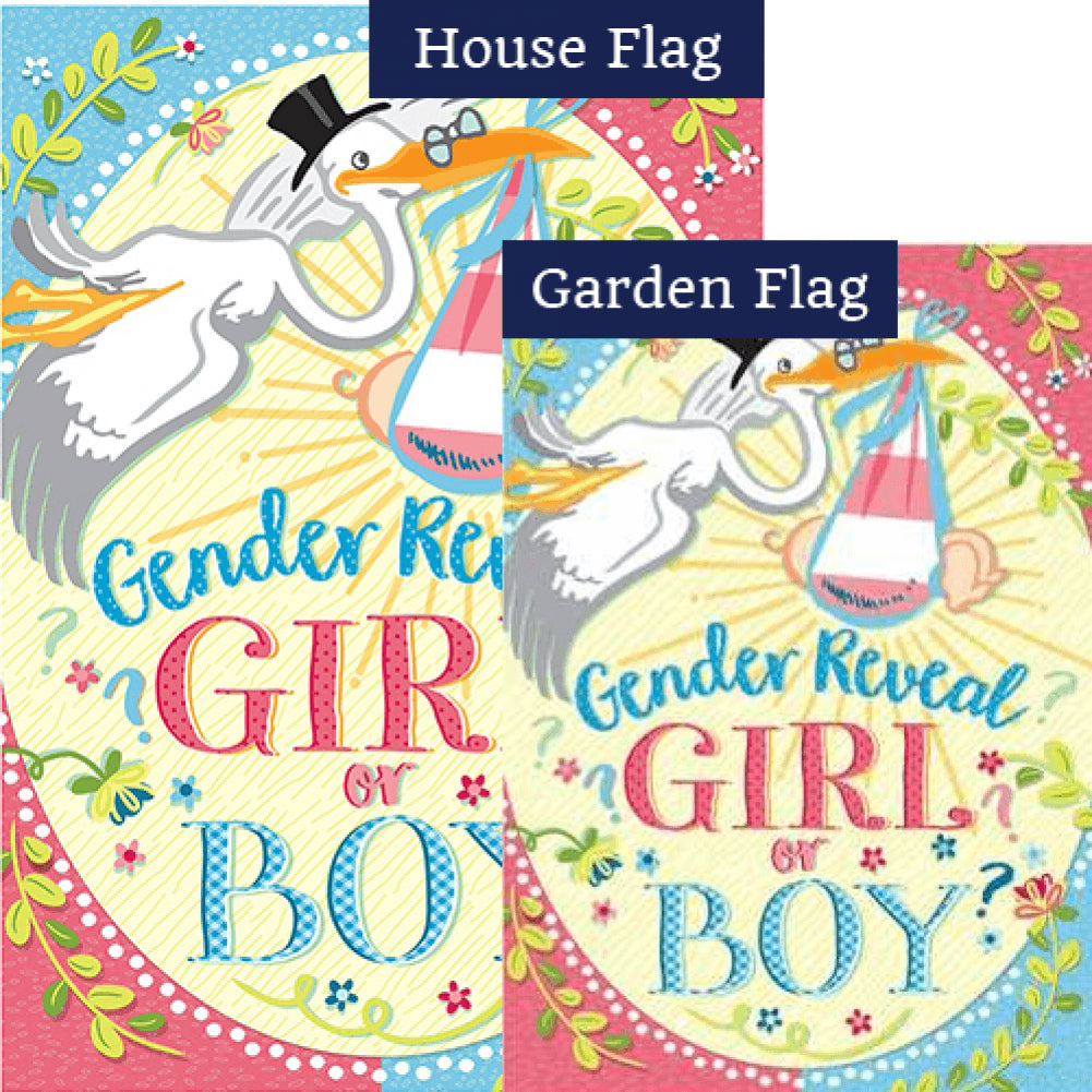 Gender Reveal Flags Set (2 Pieces)