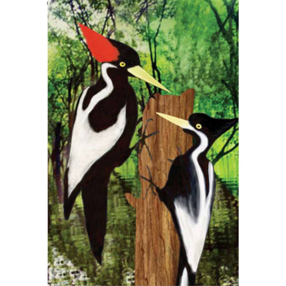Ivory Woodpecker Brilliance Garden Flag