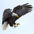 Flagsrus.org