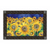 Magnet Works Doormats