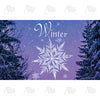 Crystal Snowflake Doormat