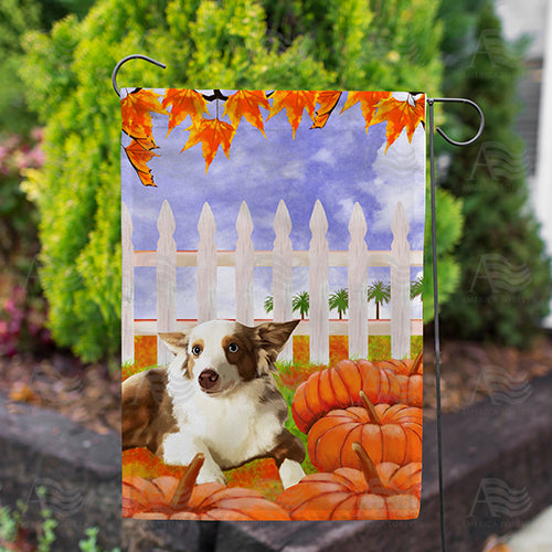Dog With Pumpkins Double Sided Garden Flag