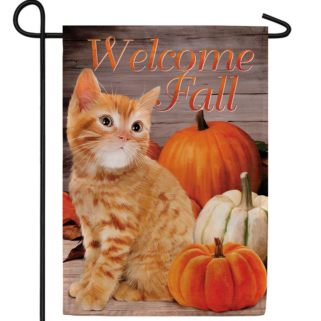 Fall Orange Tabby Double Sided Garden Flag