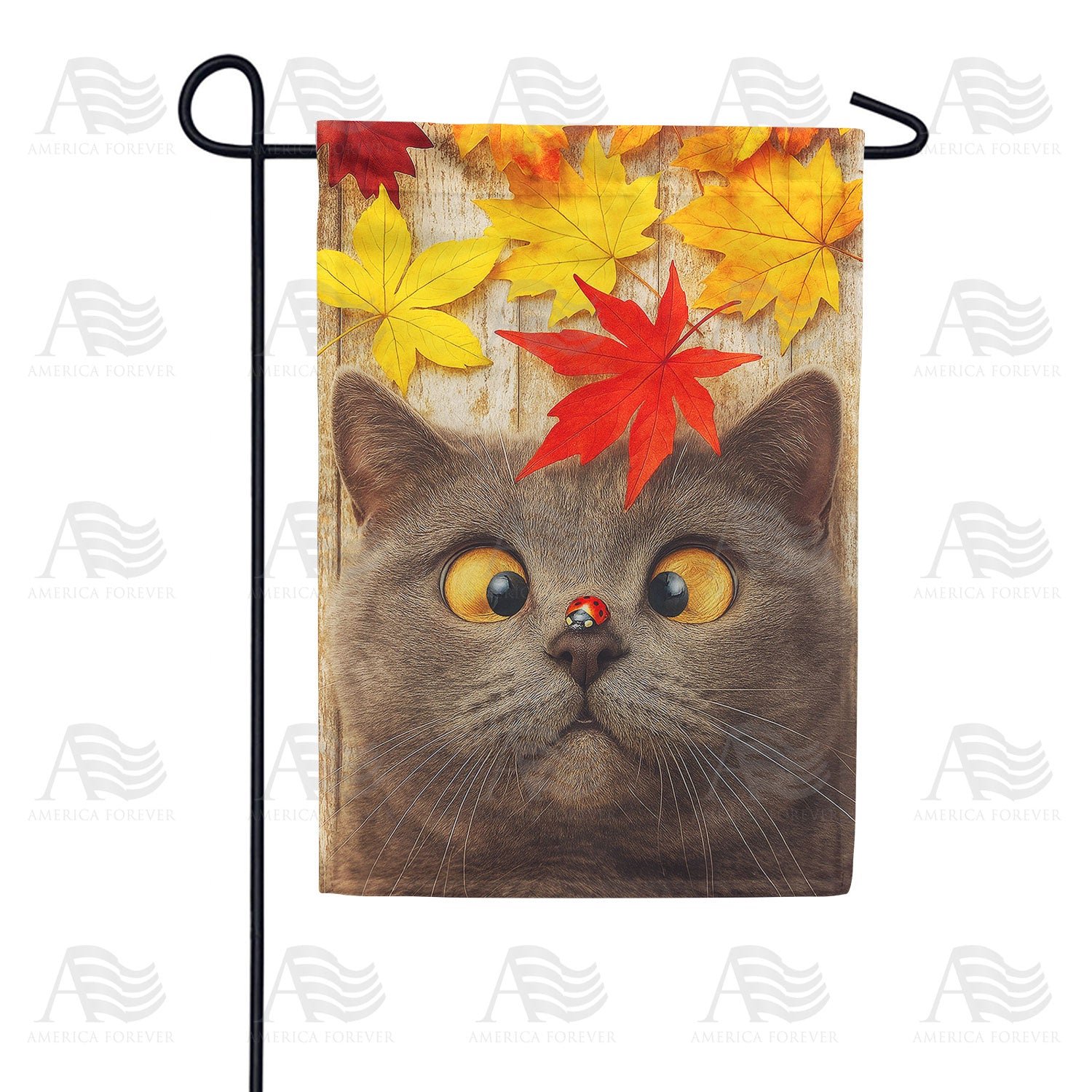 Fall Cat with Ladybug Double Sided Garden Flag 