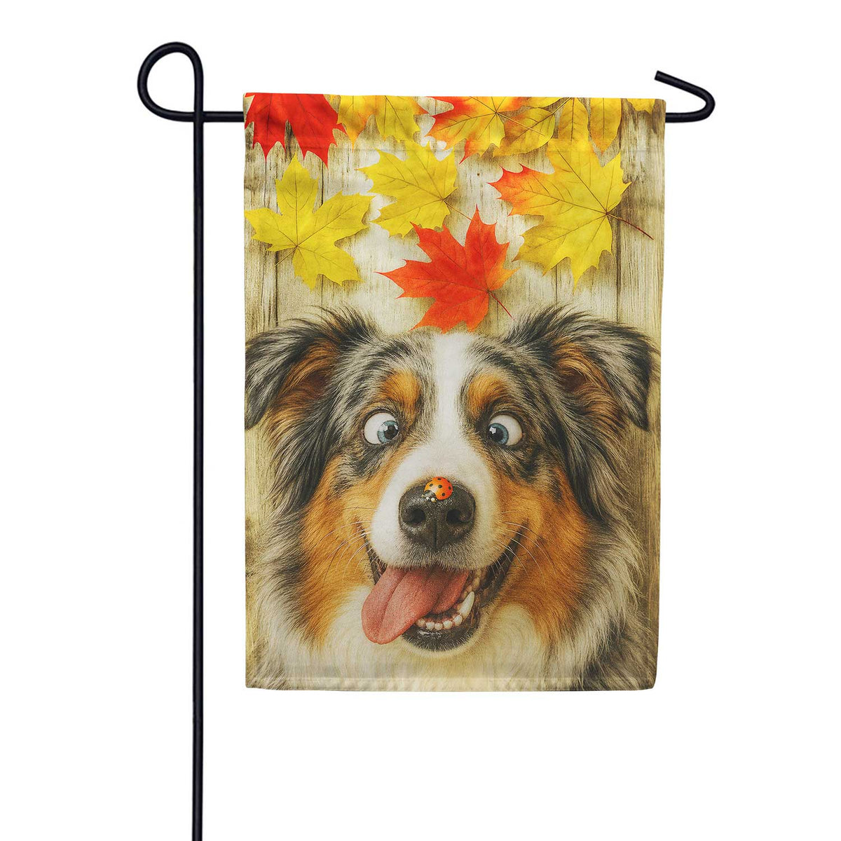 Fall Australian Shepherd And Ladybug Garden Flag