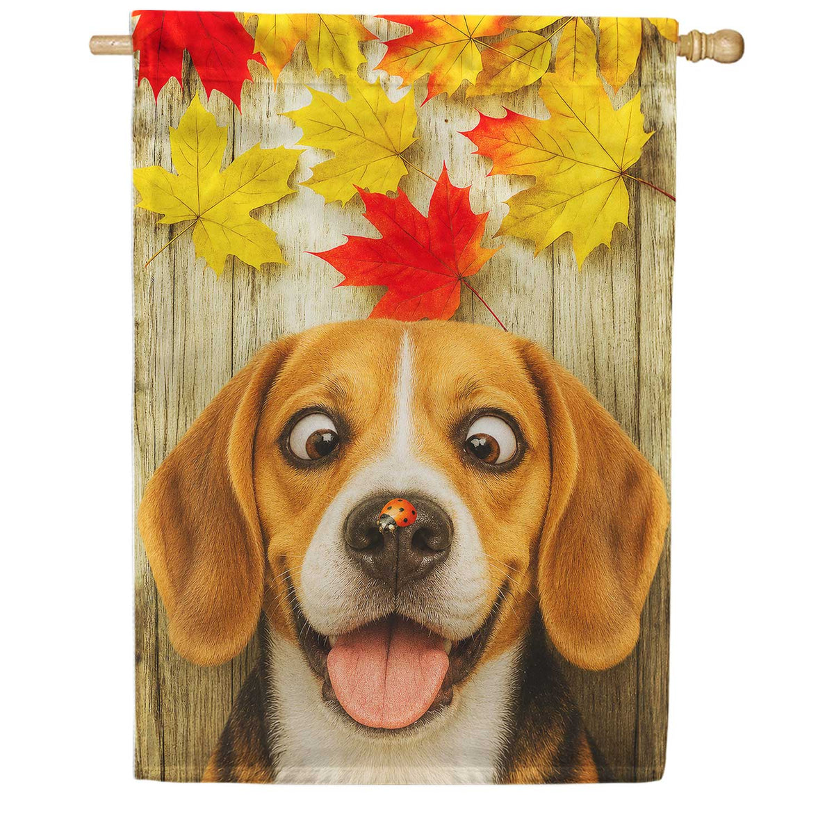Fall Beagle And Ladybug House Flag