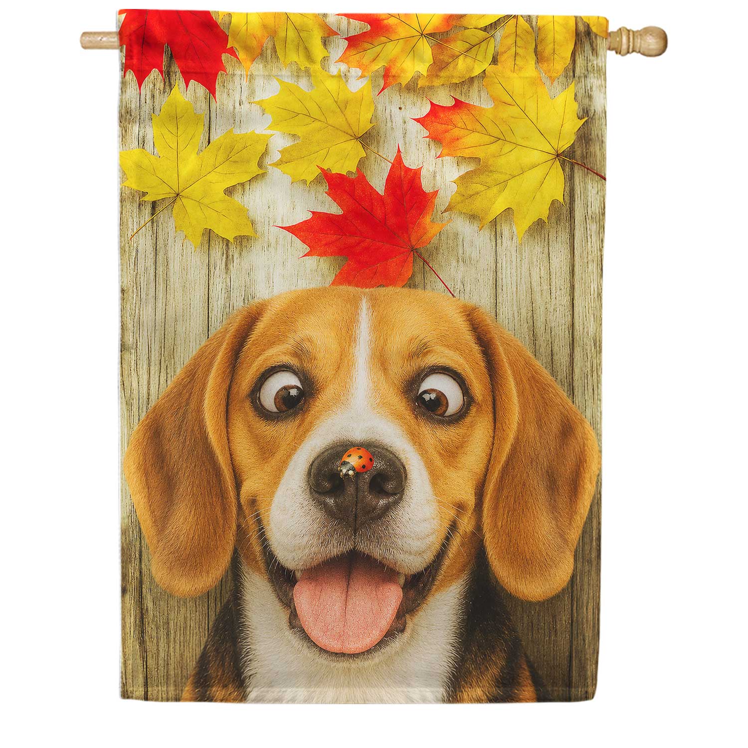 Fall Beagle And Ladybug House Flag