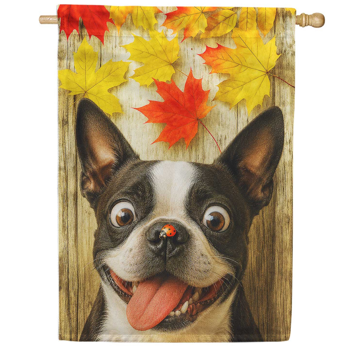 Fall Boston Terrier And Ladybug House Flag