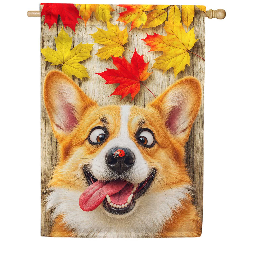 Fall Corgi and Ladybug House Flag