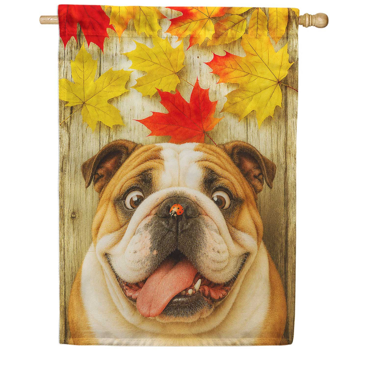 Fall English Bulldog with Ladybug House Flag