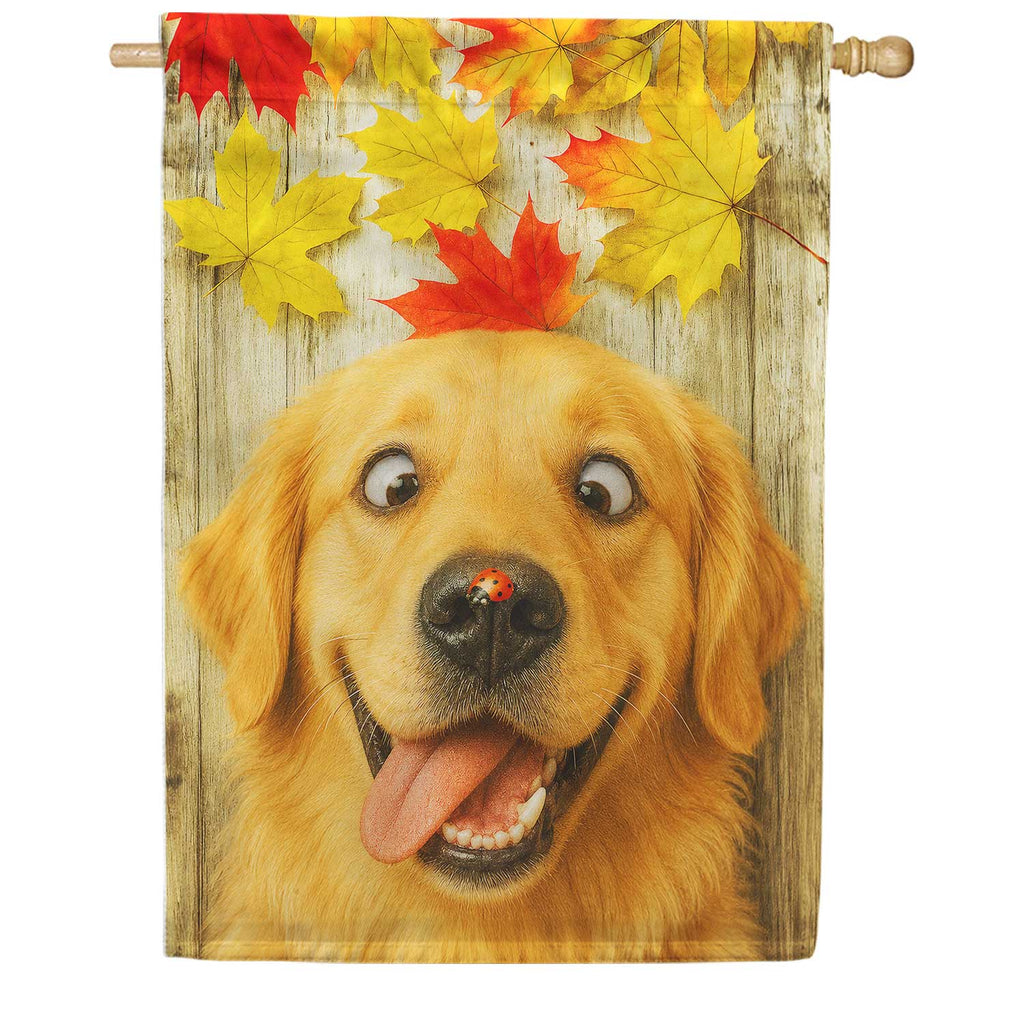 Fall Golden Retriever with Ladybug House Flag