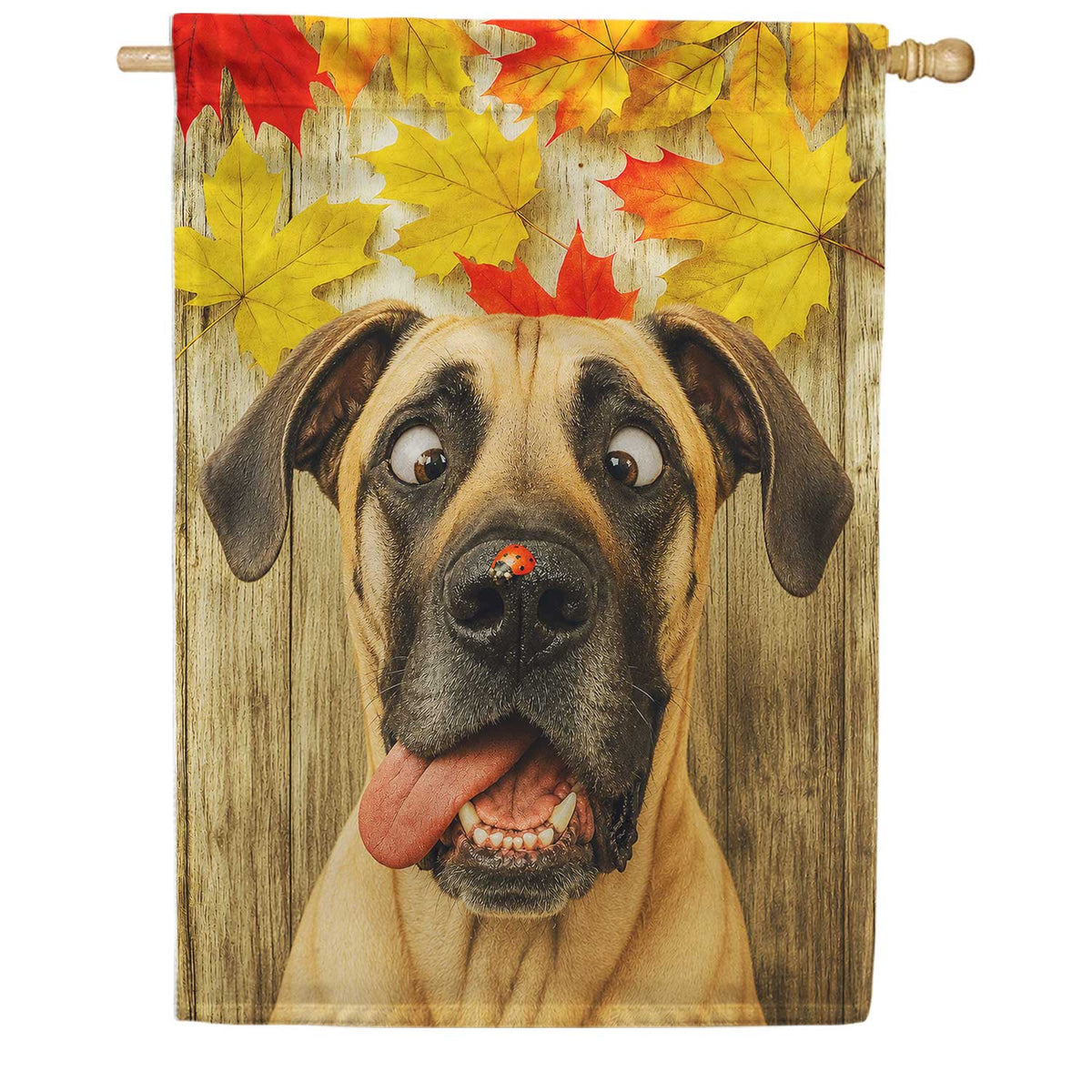 Fall Great Dane with Ladybug House Flag