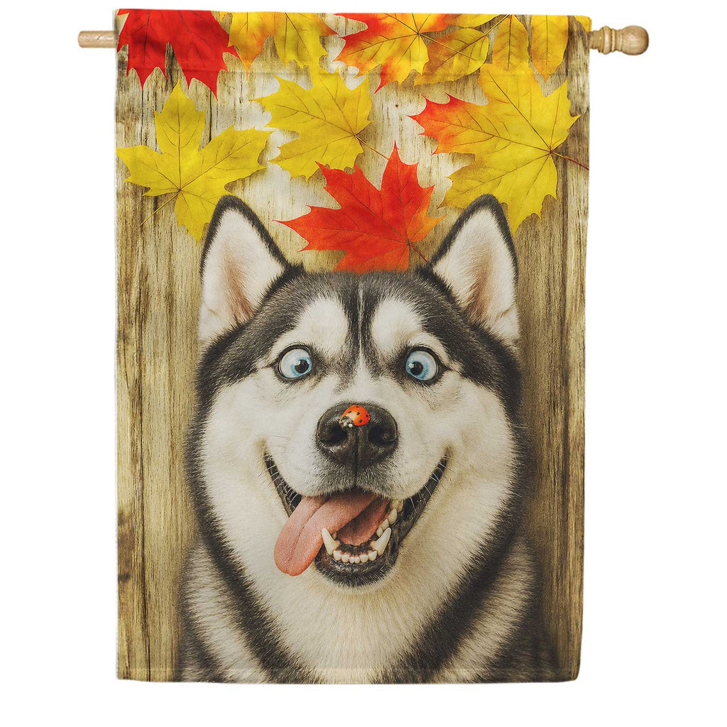 Fall Siberian Husky And Ladybug House Flag