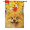 Fall Pomeranian with Ladybug House Flag