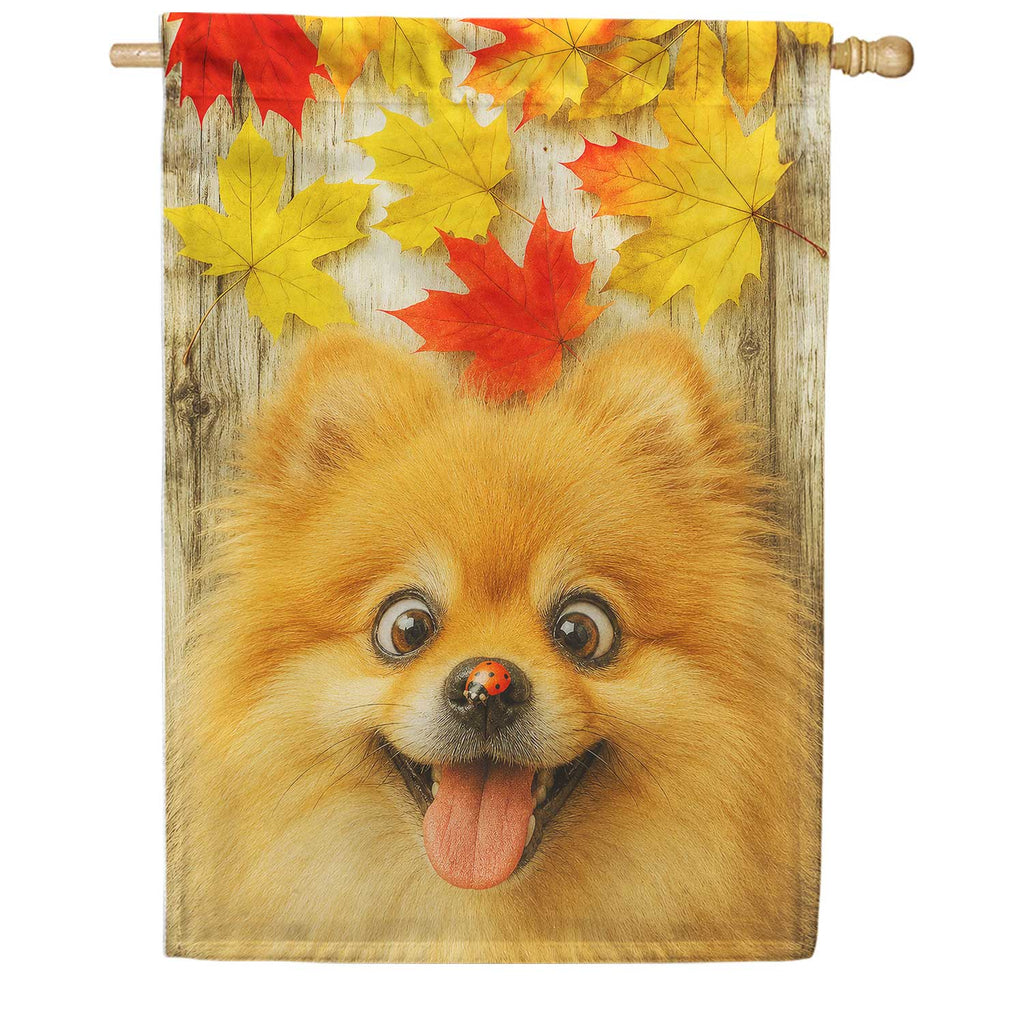 Fall Pomeranian with Ladybug House Flag
