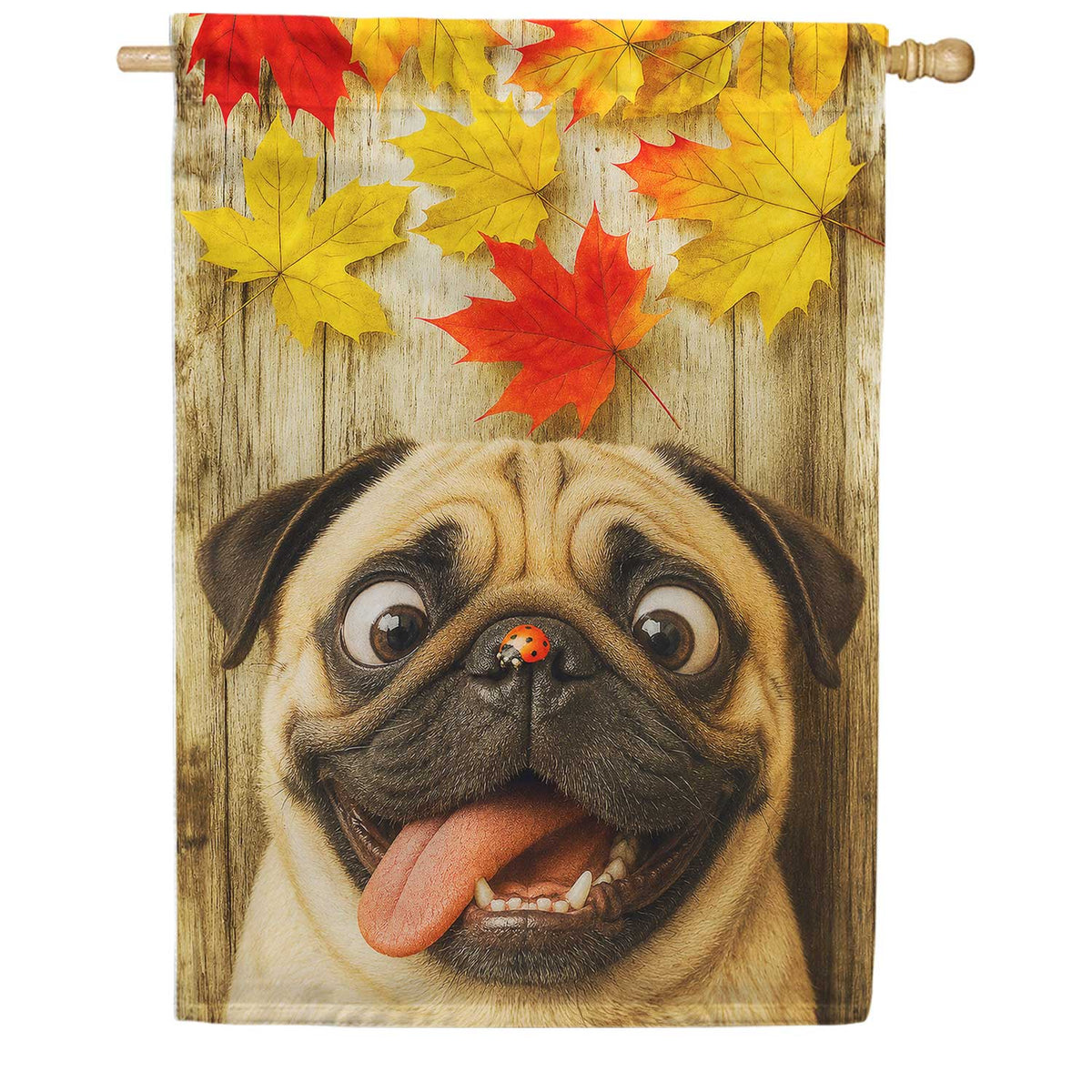 Fall Pug with Ladybug House Flag
