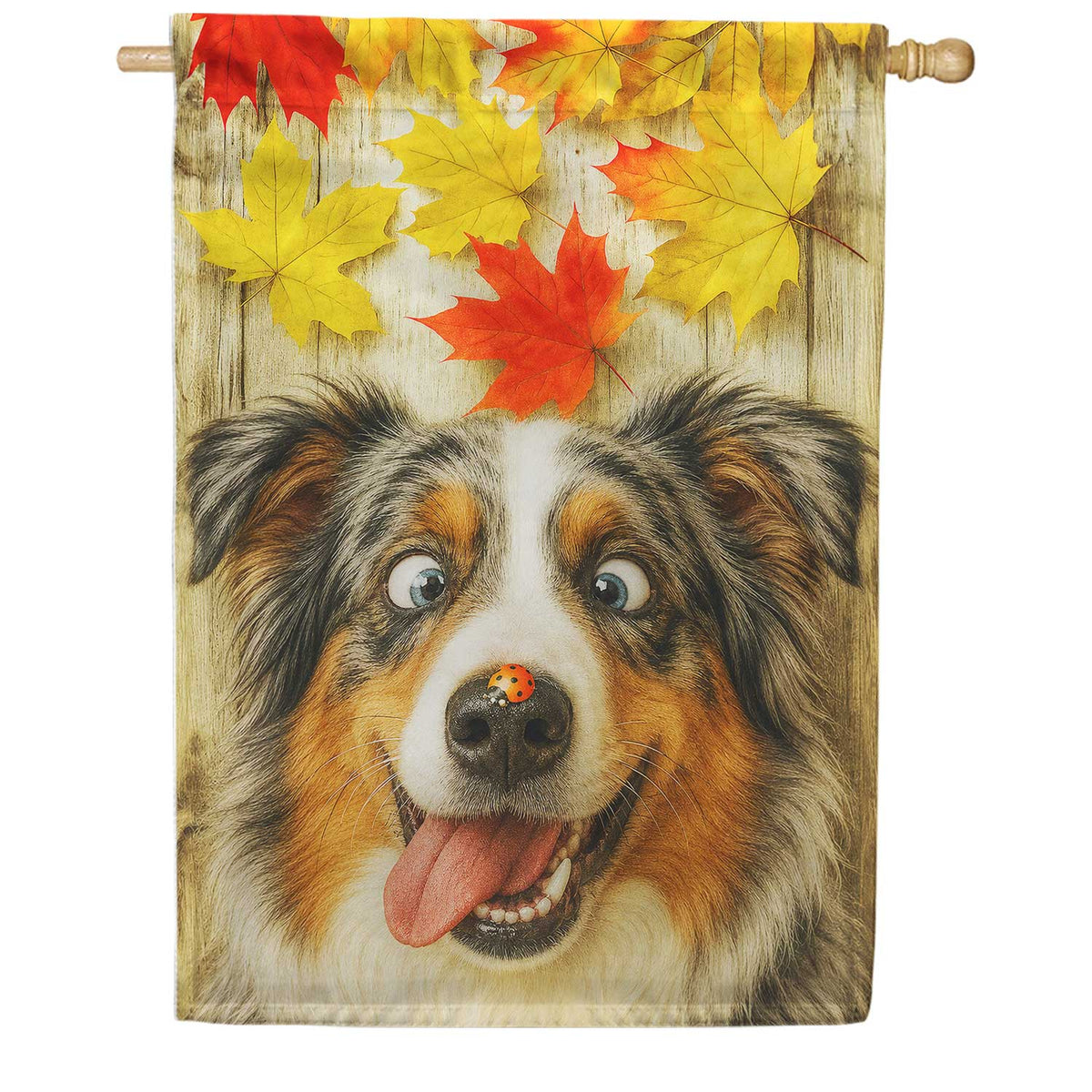 Fall Australian Shepherd And Ladybug House Flag