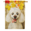 Fall Poodle with Ladybug House Flag