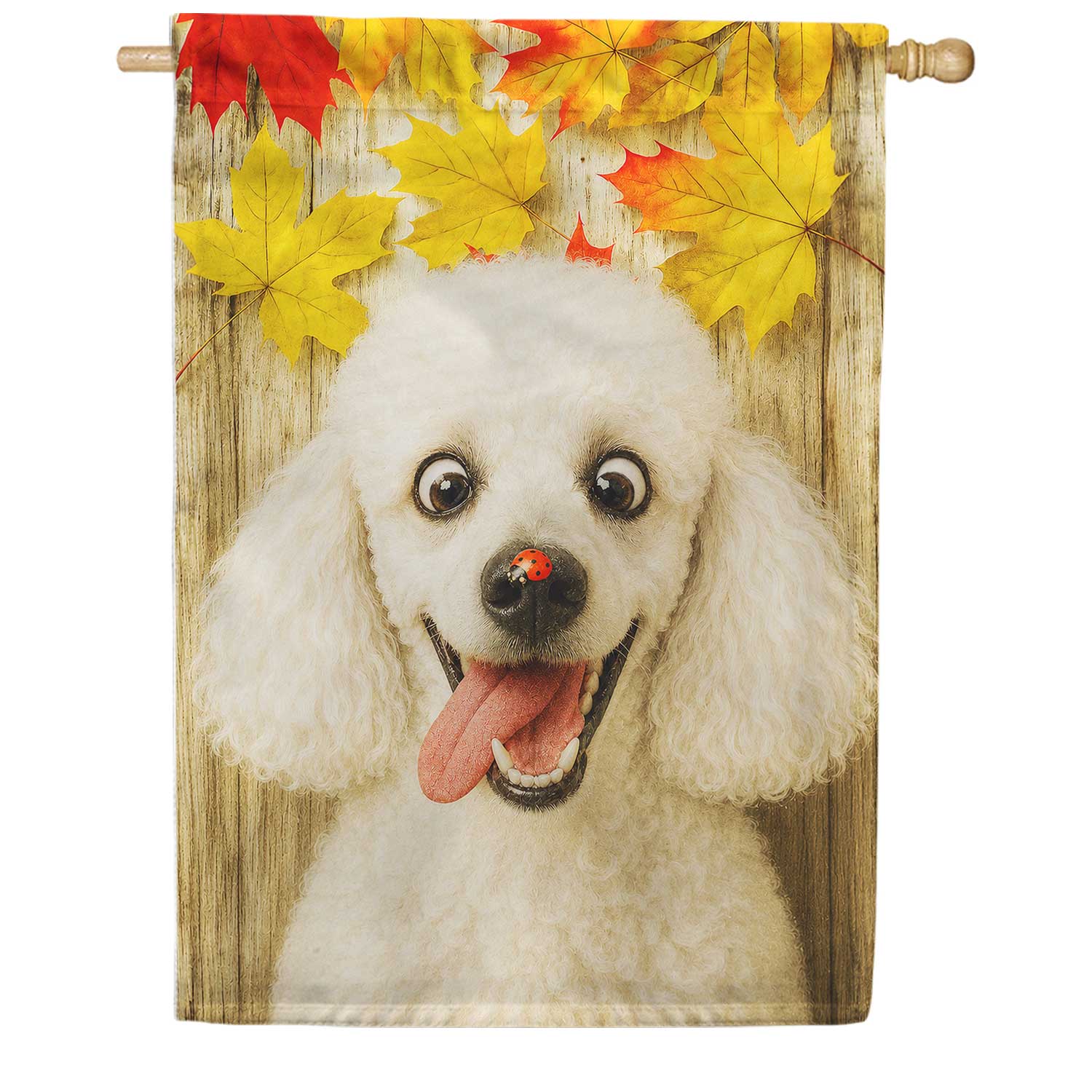 Fall Poodle with Ladybug House Flag