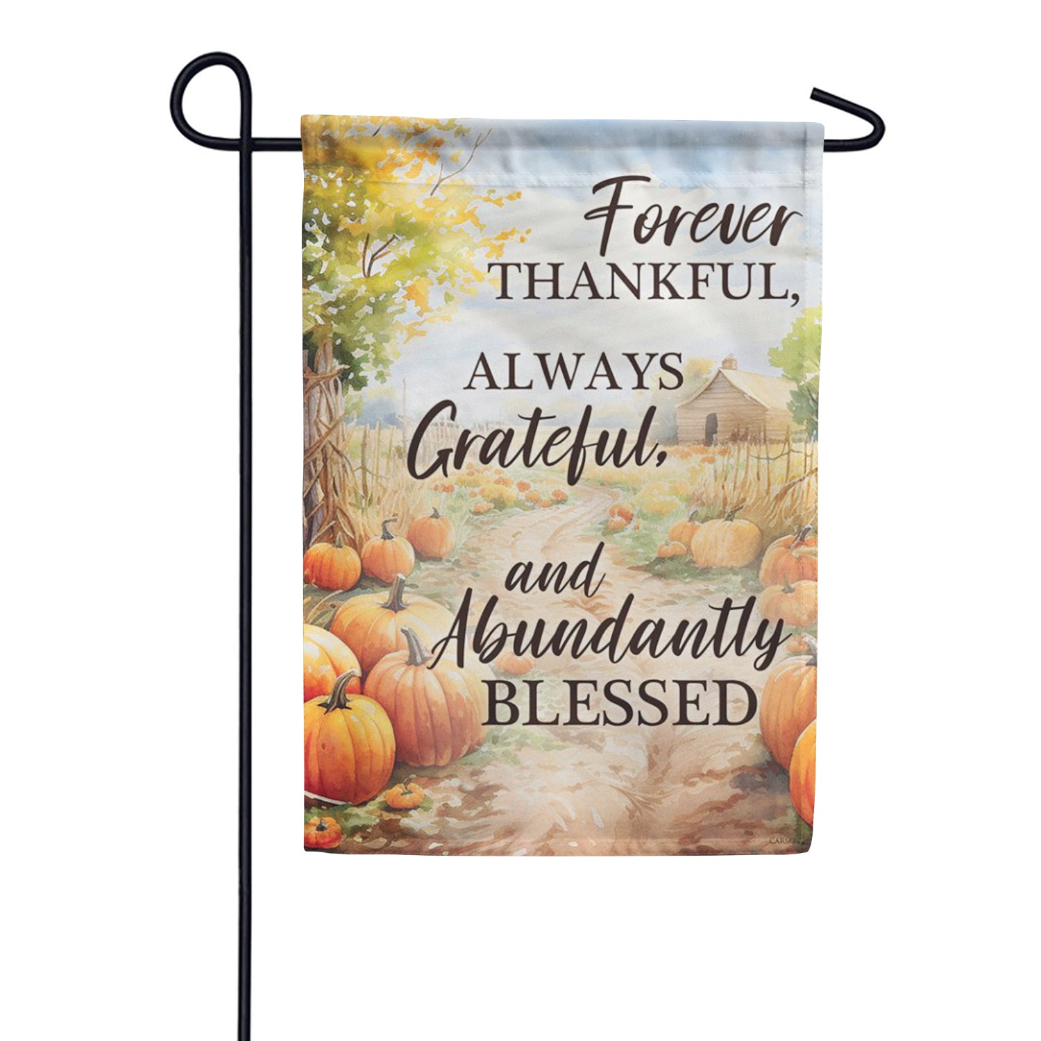 Carson Pumpkin Patch Garden Flag