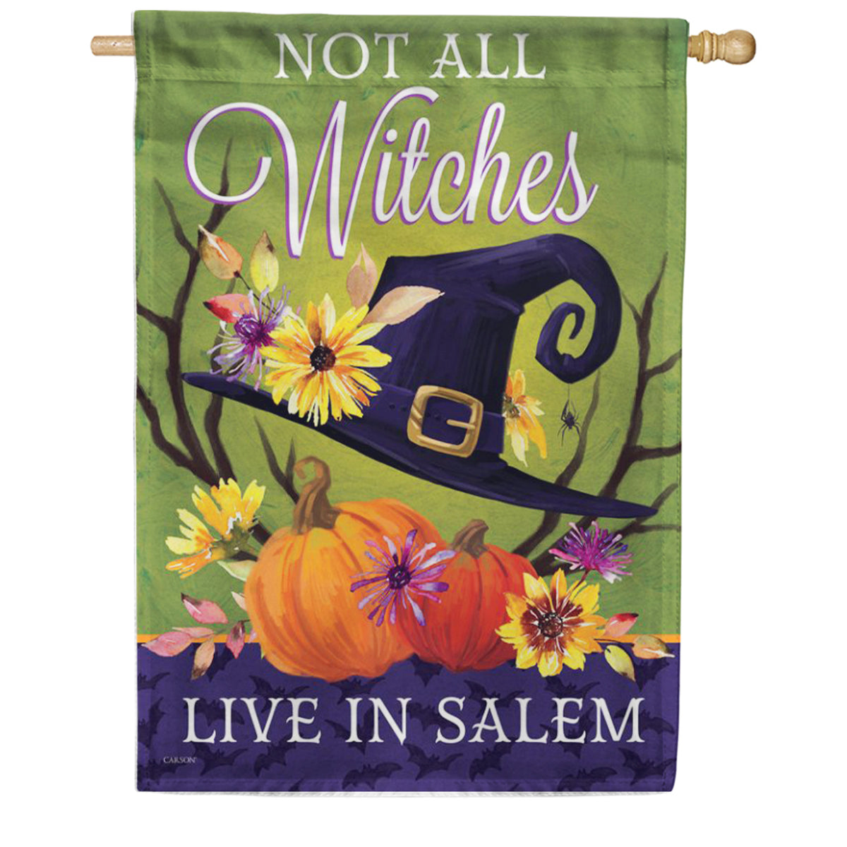 Witch Hat House Flag