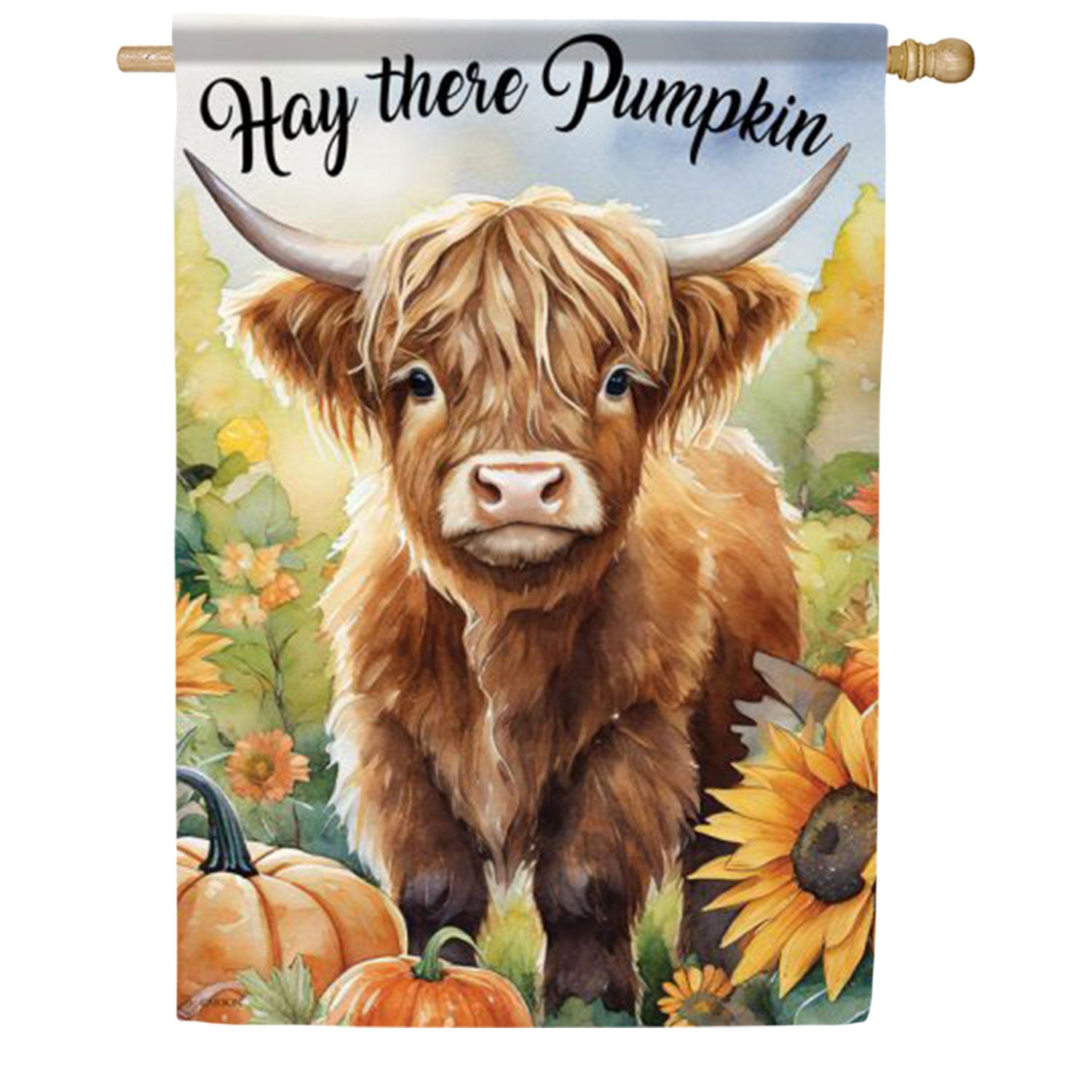Hey There Pumpkin House Flag