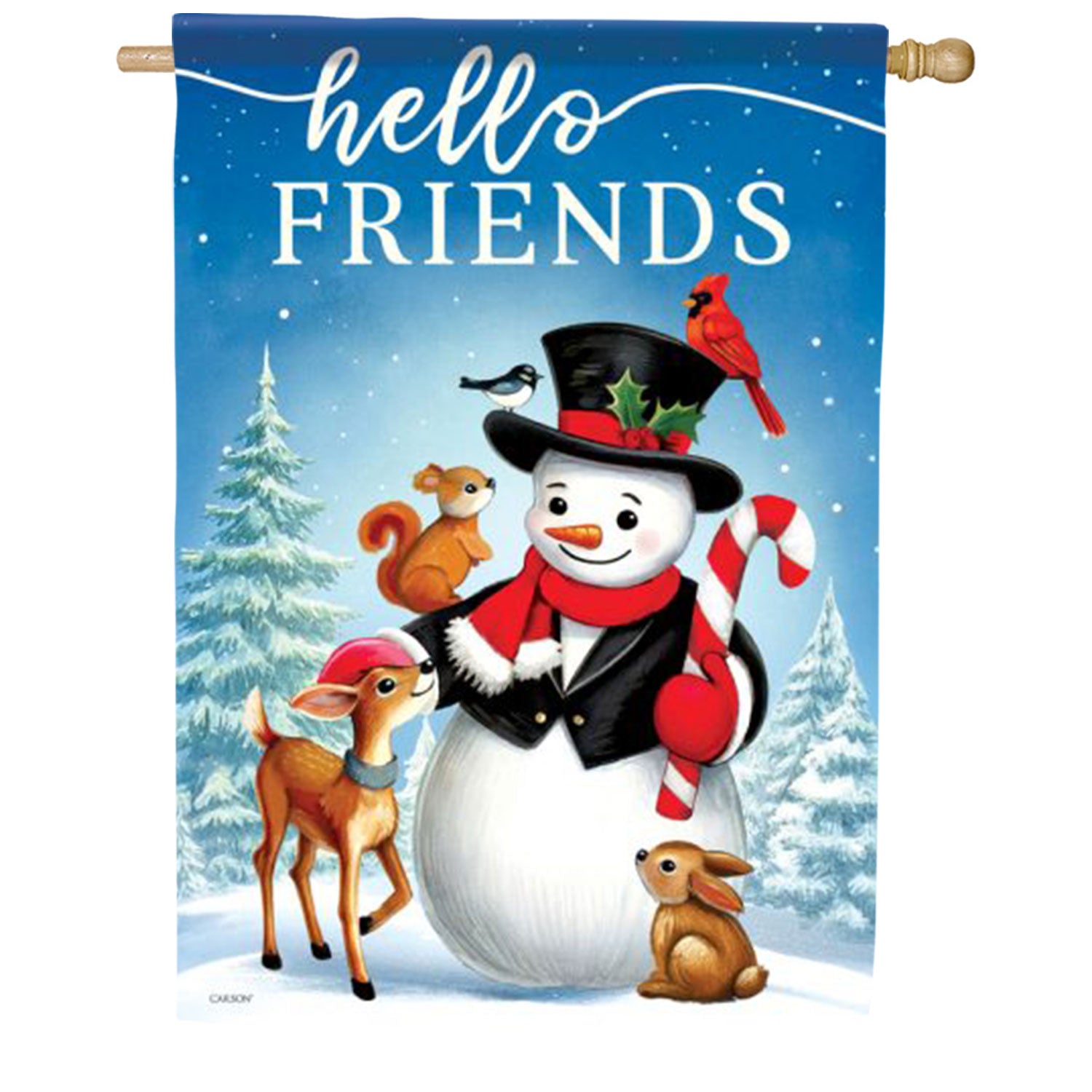 Hello Friends House Flag