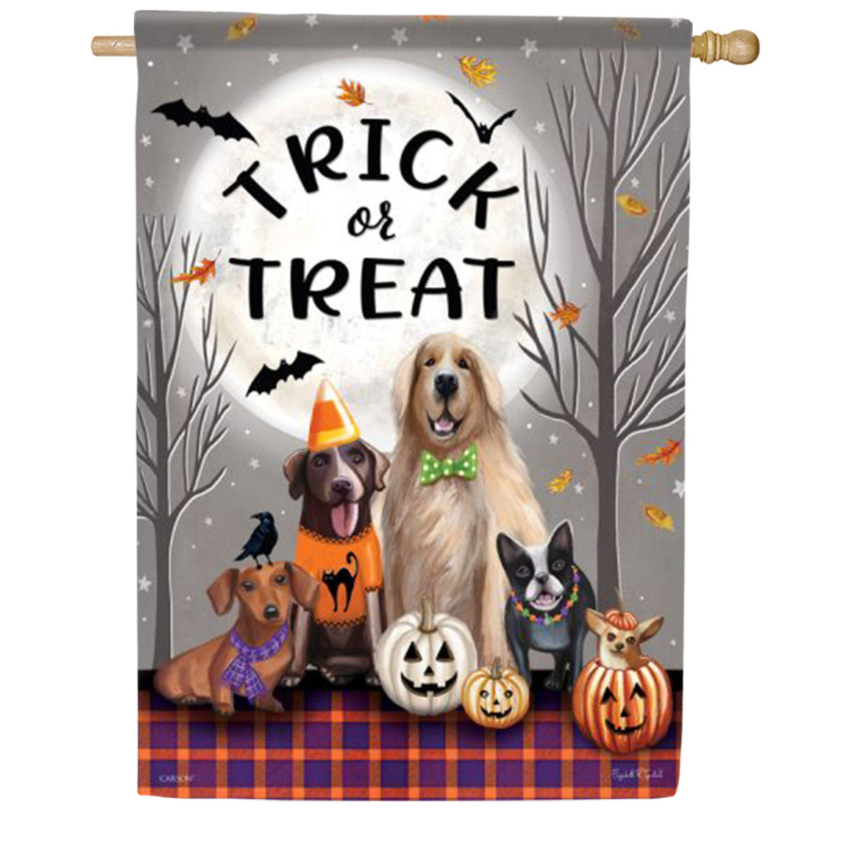 Trick Or Treat House Flag