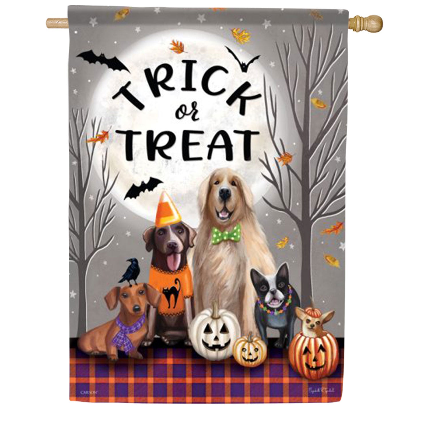 Trick Or Treat House Flag