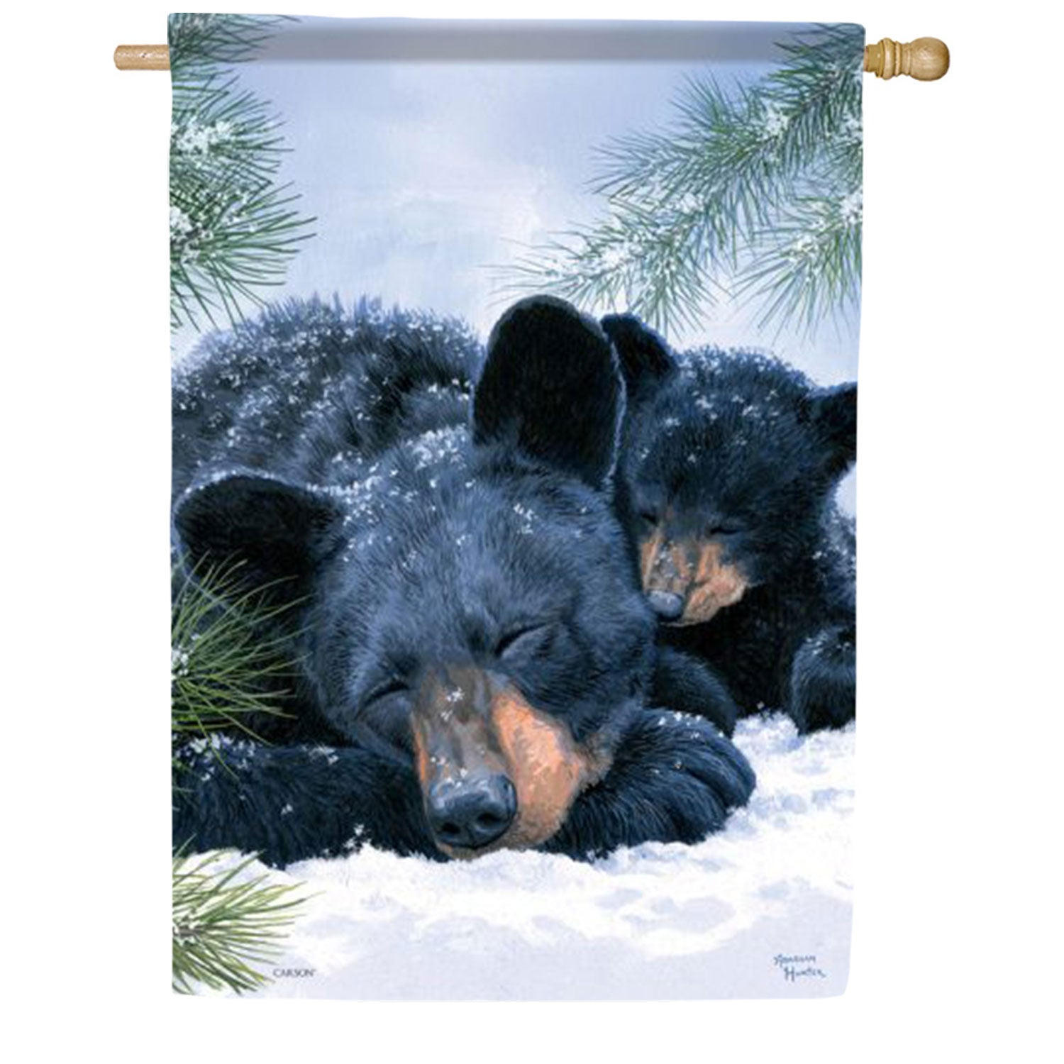 Winter Nap House Flag