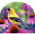 Goldfinch Glory Arbor Mate