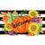 Custom Decor Accent Magnet - Pumpkin Splendor