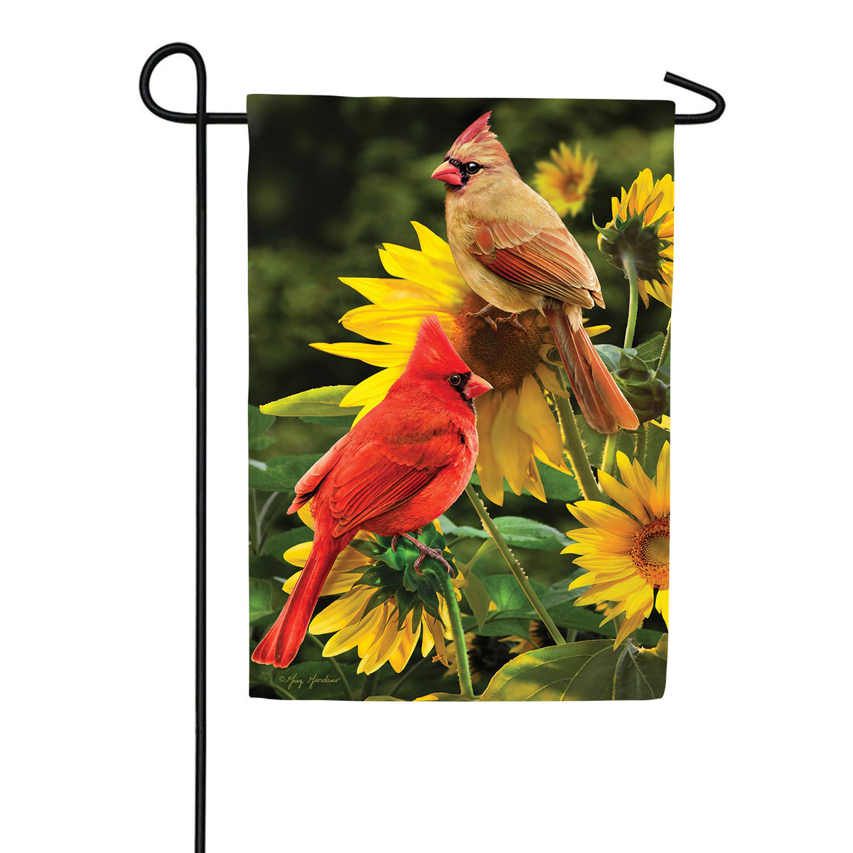 Cardinals Double Sided Garden Flag