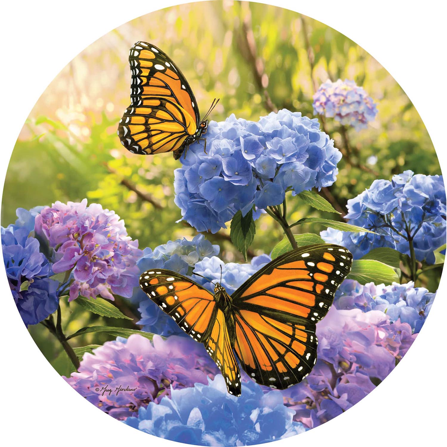 Monarch Hydrangeas Accent Magnet