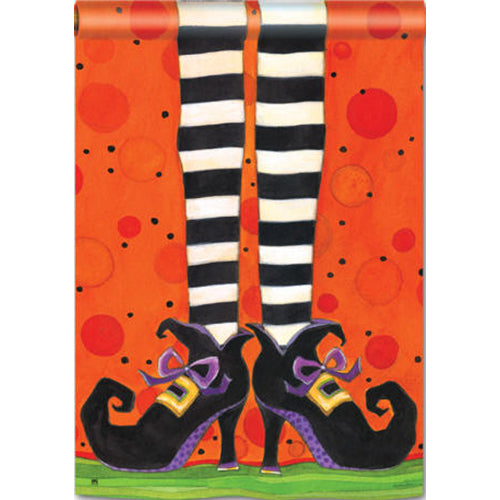 Magnet Works If The Shoe Fits House Flag