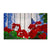 Patriotic Geraniums Butterfly Doormat