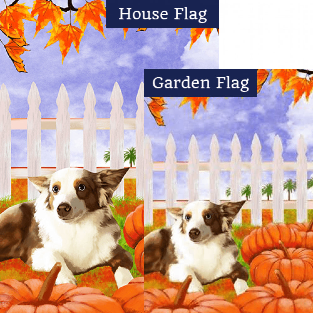 Dog With Pumpkins Flags Set (2 Pieces)