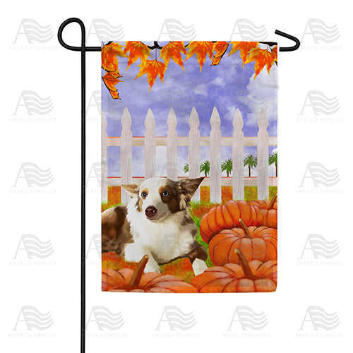 Dog With Pumpkins Double Sided Garden Flag