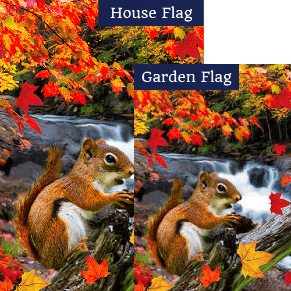 Squirrel At Waterfall Flags Set (2 Pieces)